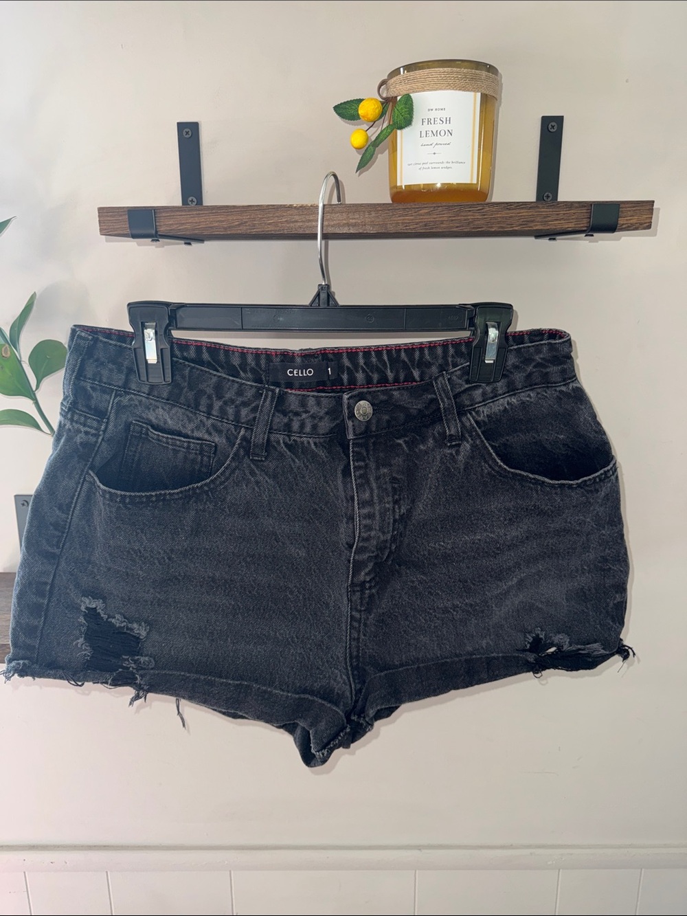 Cello Black Distressed High-Rise Denim Shorts Size 11